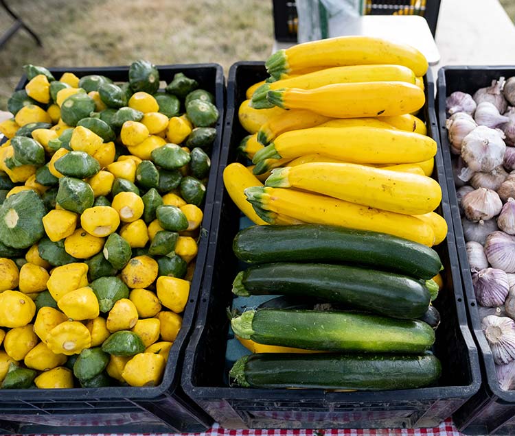 squash cucumber garlic and other produce
